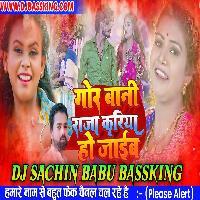 Ham Gor Bani Raja Kariya Ho Jaib Hard Vibration Mix Dj Sachin Babu BassKing